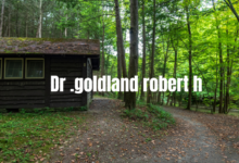 dr .goldland robert h