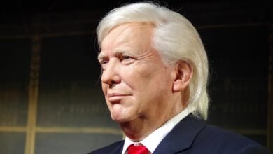 jackass with a trump wig