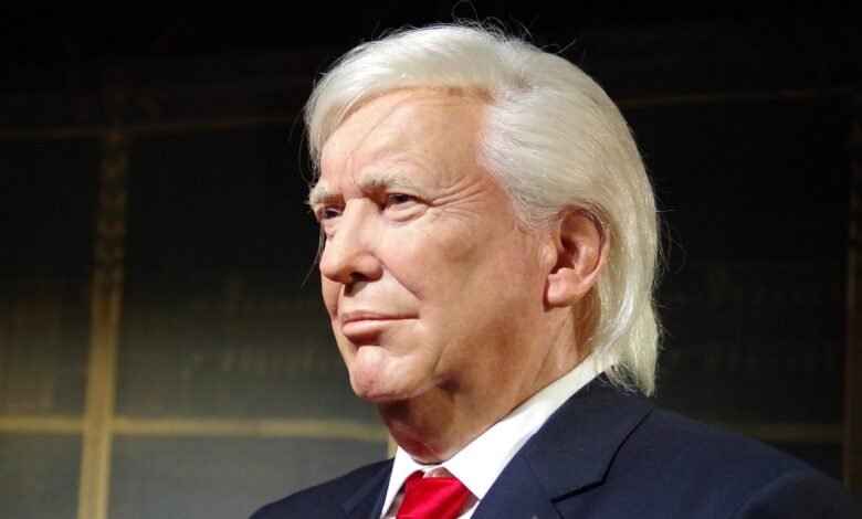 jackass with a trump wig